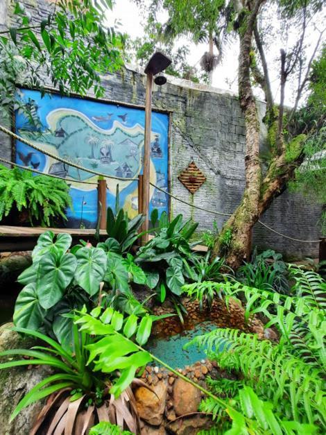 Pousada Piratas Do Embau Guarda do Embaú Dış mekan fotoğraf